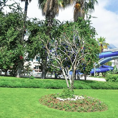Ring Hotel 5*